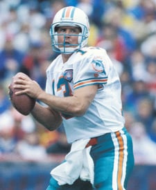 miami dolphins super bowl 1984