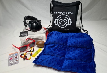 SensoryBag350