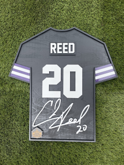 Ed reed signed jersey deals